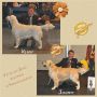 Vater und Sohn gewinnen in Friedrichshafen 