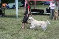 Lucca 5 Jahre alt