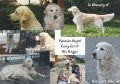 Zur Erinnerung an Kessy