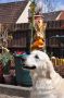 Queenie Ostern 2011