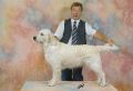 Fotoshooting mit Queenie 