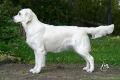 Queenie 11 Monate alt