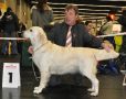 Queenie gewinnt in Nürnberg