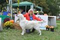 Queenie in Winnenden