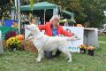 Queenie in Winnenden