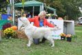 Queenie in Winnenden