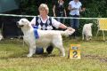 Queenie zweiter Platz in Aichach