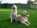 Chilly und Rocky