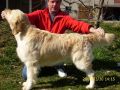 Rocky 3 Jahre alt