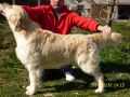 Rocky 3 Jahre alt