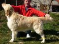 Rocky 3 Jahre alt