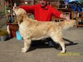 Rocky 3 Jahre alt