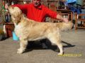Rocky 3 Jahre alt