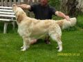 Rocky 3 Jahre alt