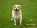Rocky 3 Jahre alt