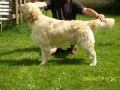 Rocky 3 Jahre alt