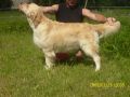 Rocky 3 Jahre alt