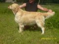 Rocky 3 Jahre alt