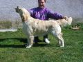 Rocky 3 Jahre alt