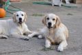 Sandy mit ihrer Mama Stella