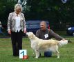 Joy Full Amy gewinnt in Markt Bibart