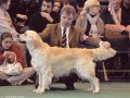 Bryan on Crufts 2009