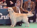 Bryan on Crufts 2009