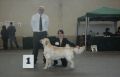 Colin gewinnt in Herrenberg