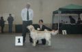 Colin gewinnt in Herrenberg