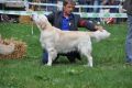 Colin in Winnenden