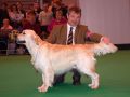 Bryan came second on CRUFTS