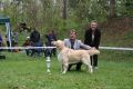 Rocky auf der ÖRC Clubshow in Schloss Hallegg