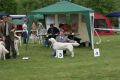 Everyday Jeffrey wird dritter in Diedersdorf