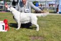 Highlights Kenny gewinnt die Juengstenklasse in Erfurt