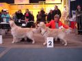 Spencer und Johnny in Muenchen                               