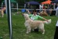 Spencer in Winnenden