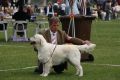 Thyler auf dem Champion Club Match in Ermelo