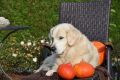 Herbstimpressionen 2011 