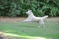 Smokey having fun