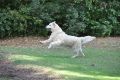Smokey having fun