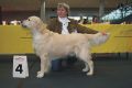Smokey 4. Platz in Stuttgart