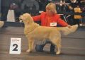 Smokey wird zweiter in Friedrichshafen