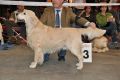 Smokey wird dritter auf der IHA Muenchen 2010