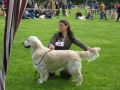 Spencer in Holland 17 Monate alt
