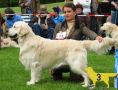 Spencer in Holland 17 Monate alt