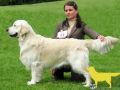 Spencer in Holland 17 Monate alt