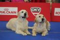 Spencer und Nikita