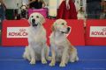 Spencer und Nikita