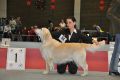 Spencer gewinnt in Wettingen
