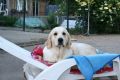 Stella 1 einhalb Jahre alt